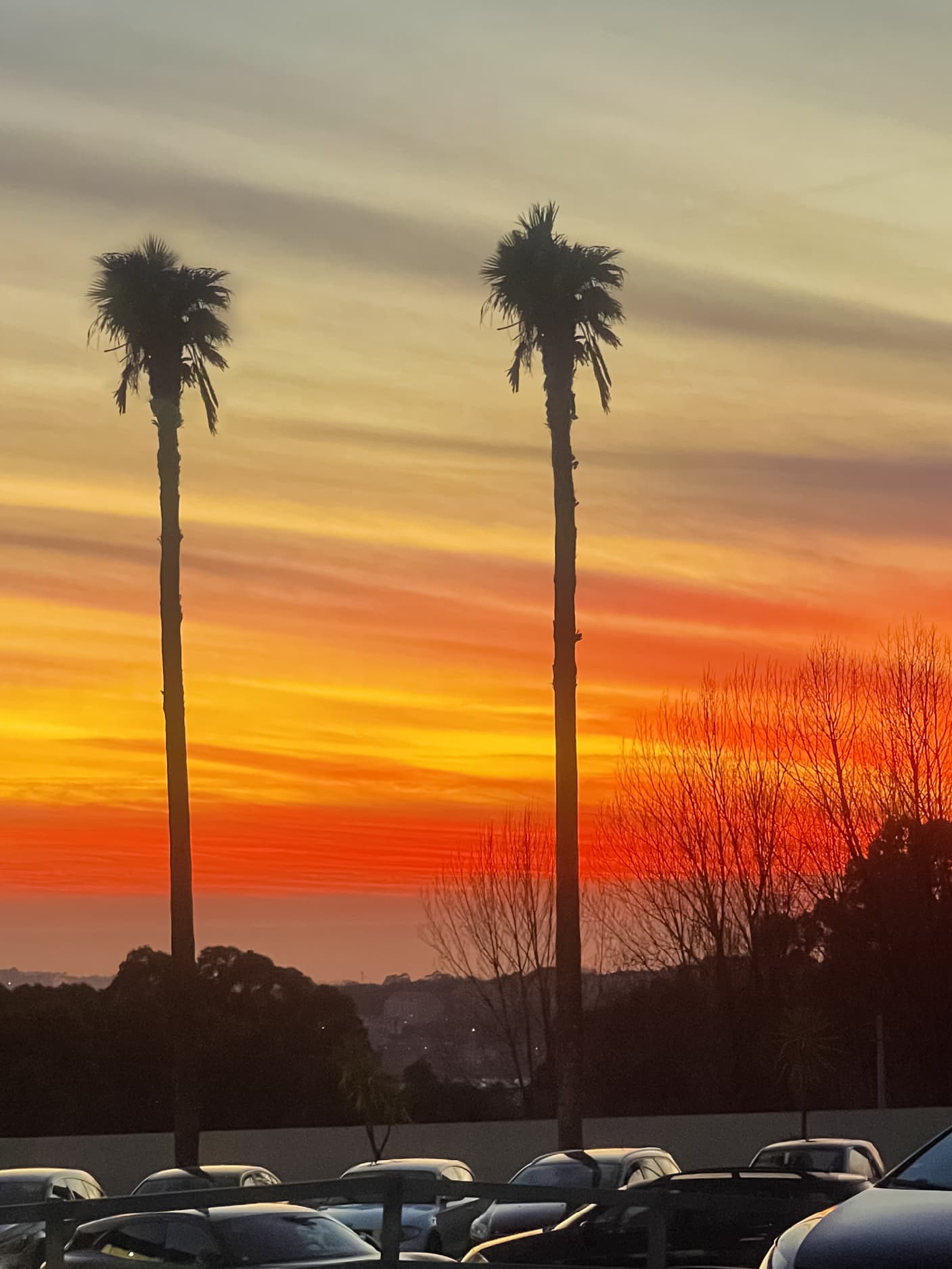 Por do sol